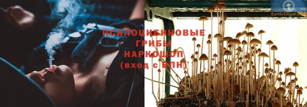 apvp Красноперекопск