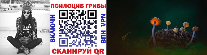 Купить где  Гурьевск  Псилоцибиновые грибы прущие грибы 